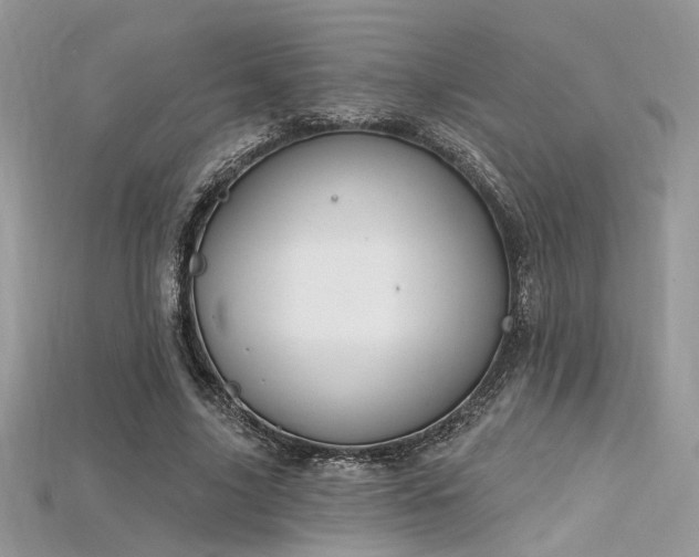 X0000115710635200911121426