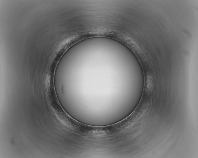 X0000115710636200911121426