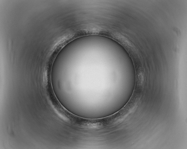 X0000115710638200911121426