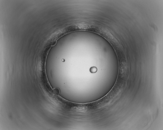 X0000115710639200911121426