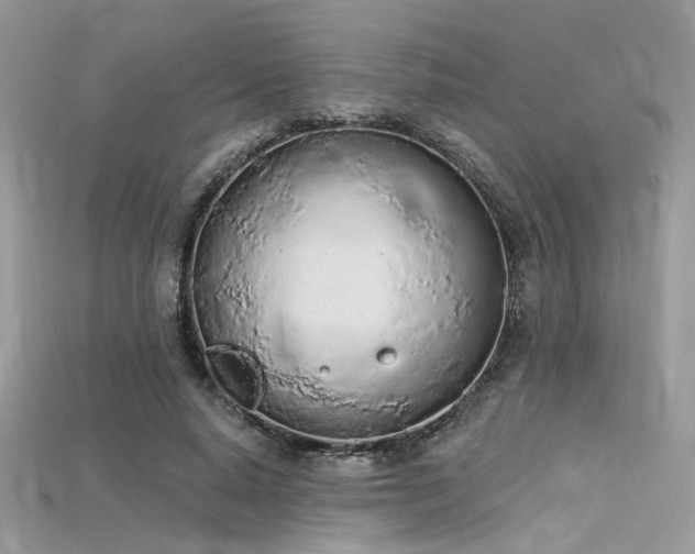 X0000115710640200911121426