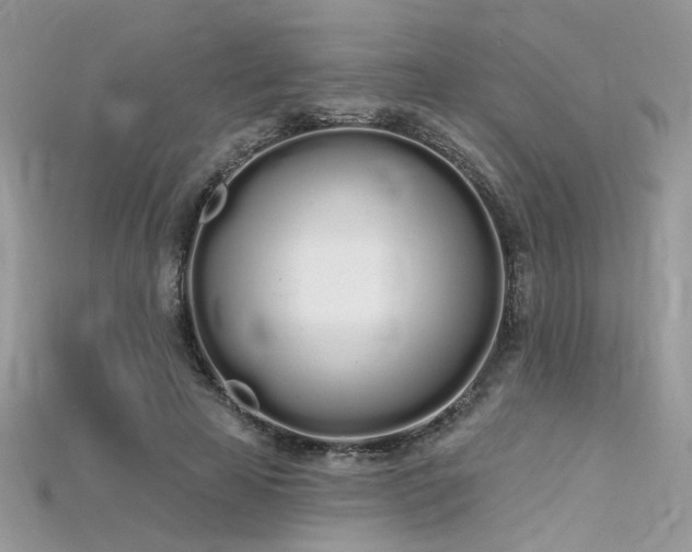 X0000115710641200911121426