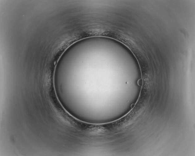 X0000115710642200911121426