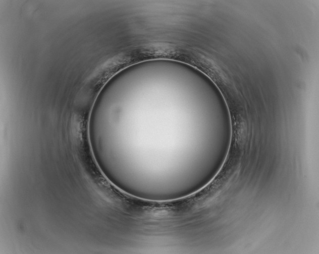 X0000115710643200911121426