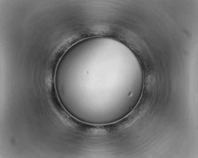 X0000115710644200911121426