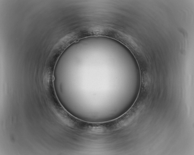 X0000115710645200911121426