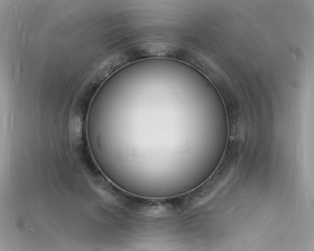 X0000115710646200911121426