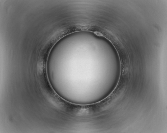 X0000115710647200911121426