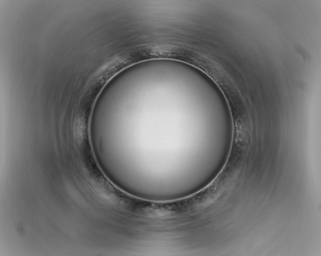 X0000115710648200911121426