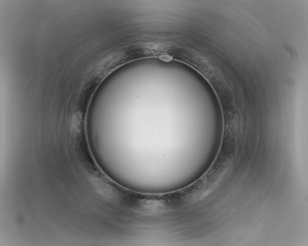 X0000115710649200911121426