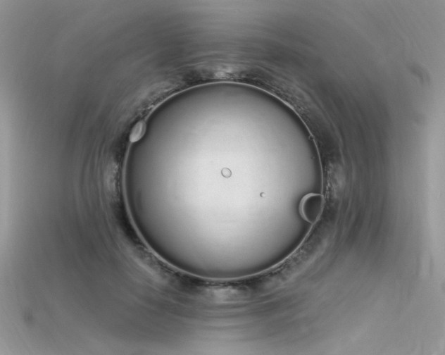 X0000115710650200911121426