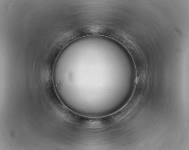 X0000115710651200911121426