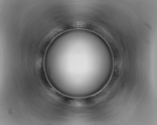 X0000115710652200911121426