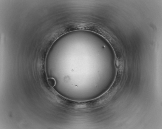 X0000115710653200911121426