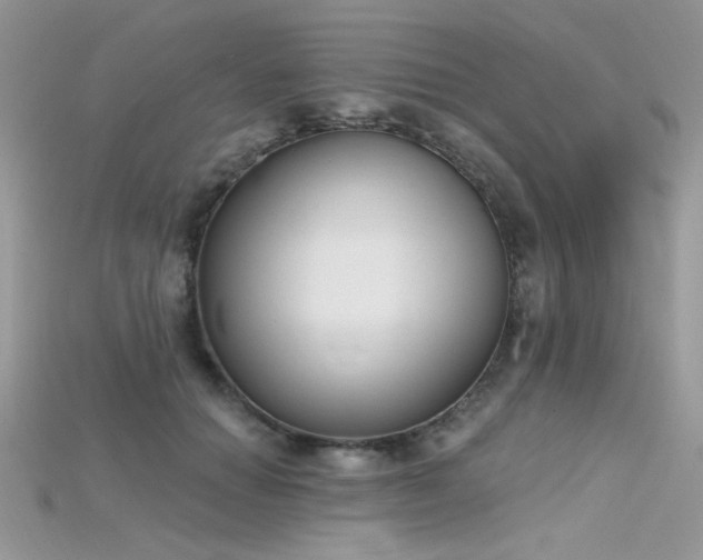 X0000115710654200911121426