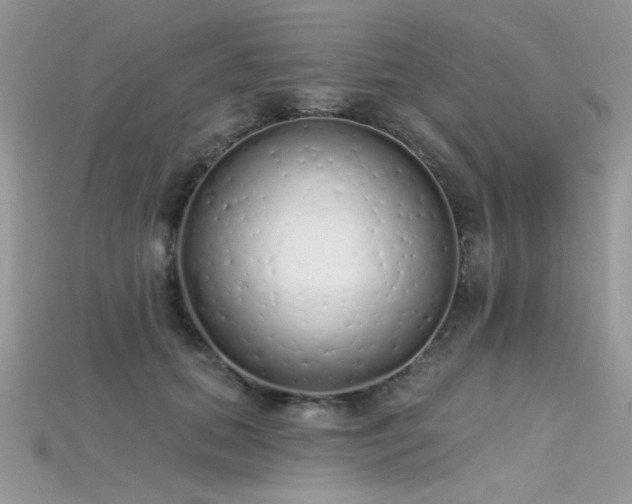 X0000115710655200911121426