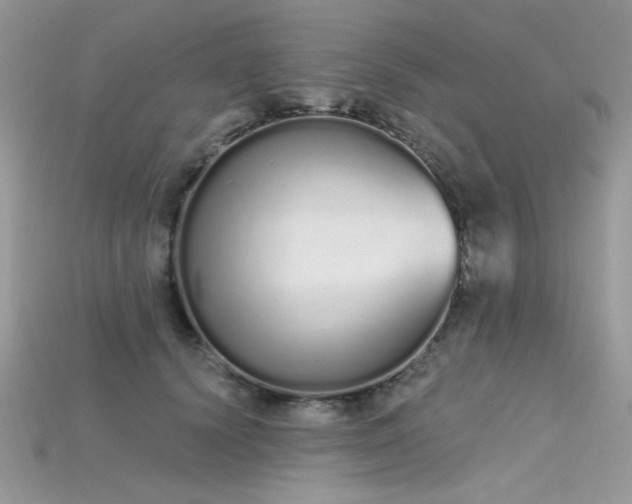 X0000115710656200911121426