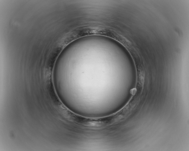 X0000115710657200911121426