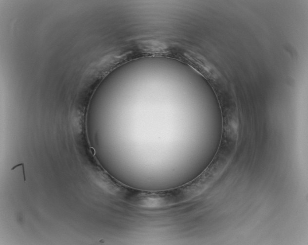 X0000115710658200911121426