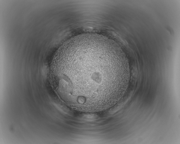 X0000115710659200911121426