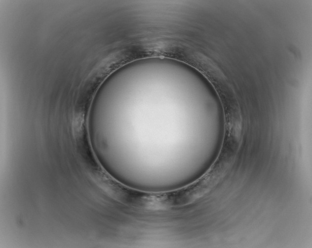 X0000115710660200911121426