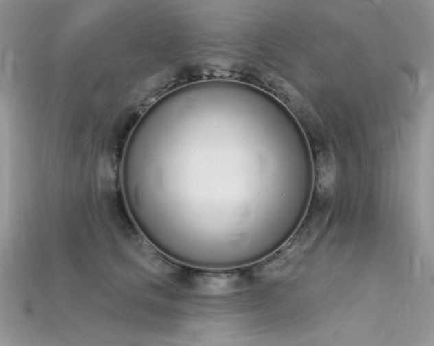 X0000115710661200911121426