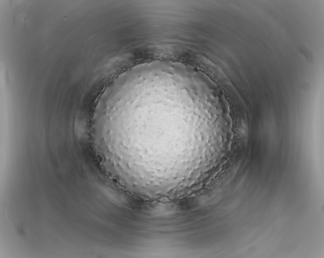 X0000115710663200911121426