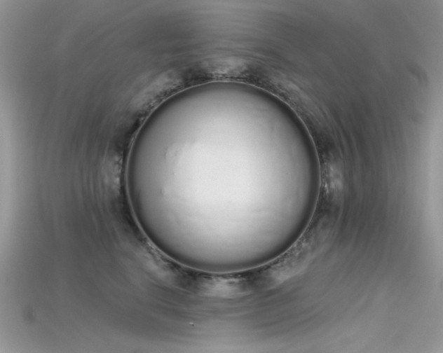 X0000115710664200911121427