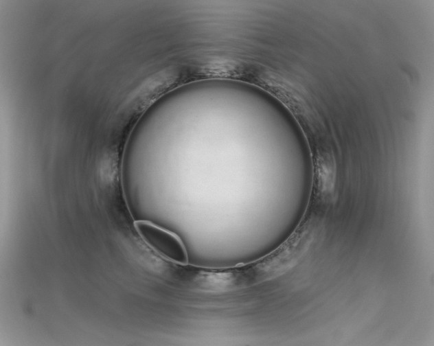 X0000115710665200911121427