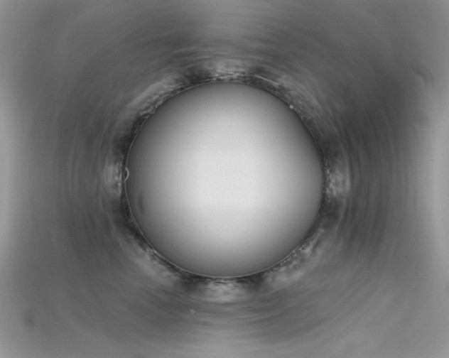 X0000115710666200911121427