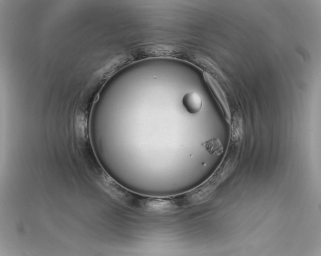 X0000115710669200911121427