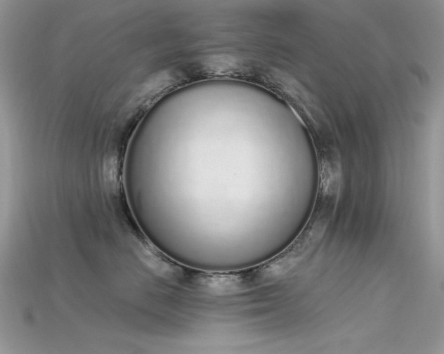 X0000115710670200911121427