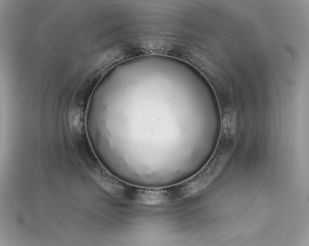 X0000115710671200911121427