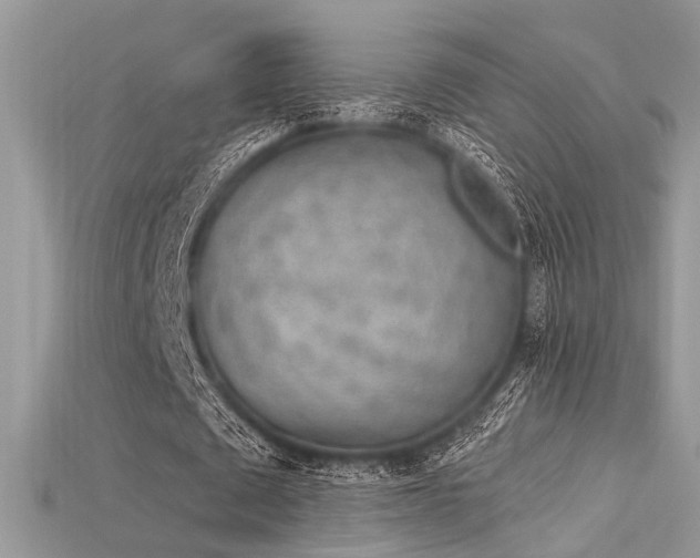 X0000115710673200911121426