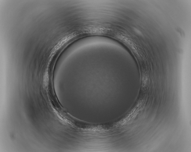 X0000115710674200911121426