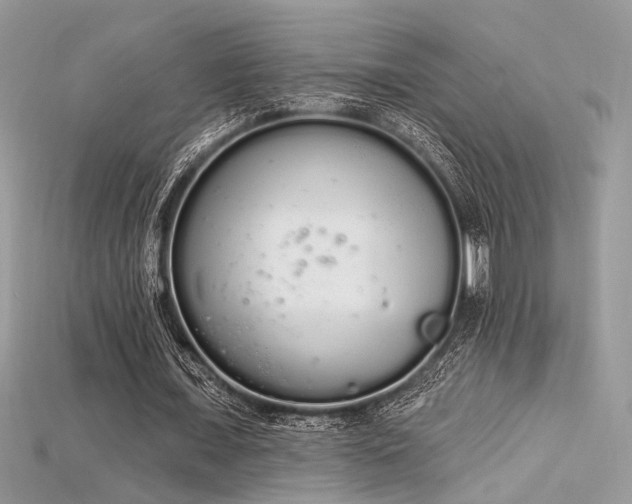 X0000115710675200911121426