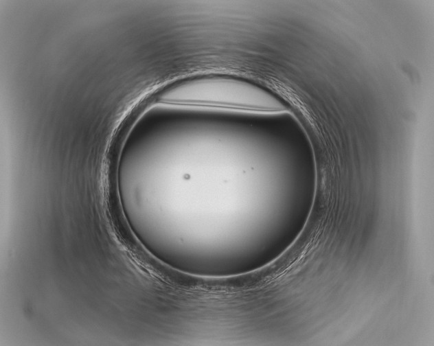 X0000115710676200911121426