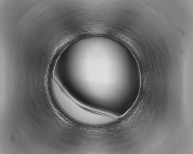 X0000115710677200911121426