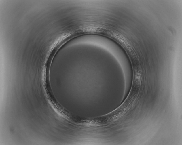 X0000115710678200911121426