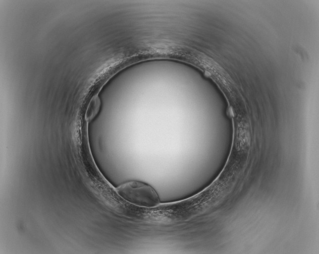 X0000115710680200911121426