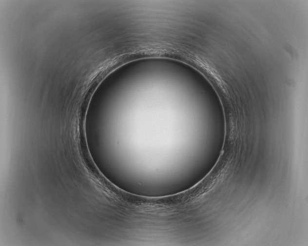 X0000115710681200911121426