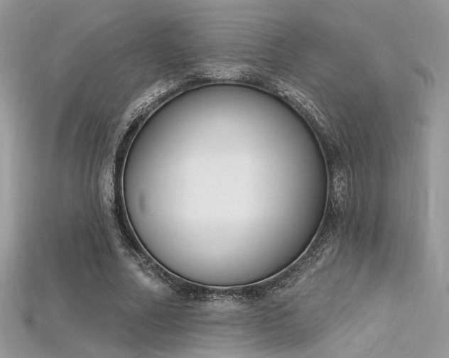 X0000115710682200911121426