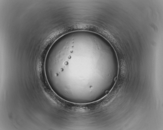 X0000115710683200911121426