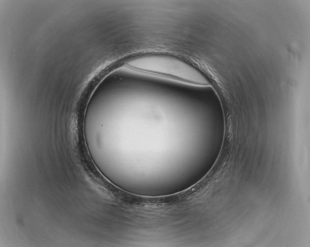 X0000115710684200911121426