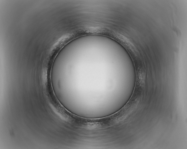 X0000115710686200911121426