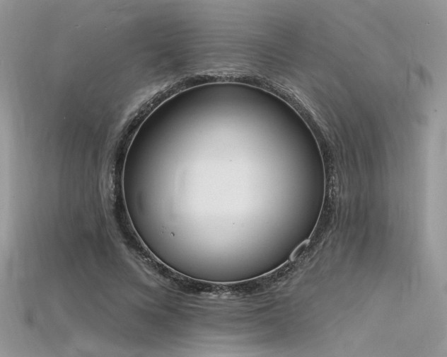 X0000115710688200911121426