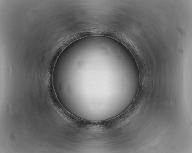 X0000115710689200911121426