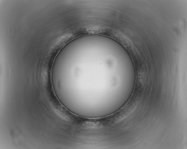 X0000115710690200911121426