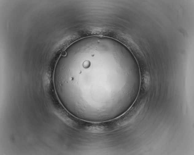 X0000115710691200911121426