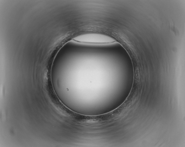 X0000115710692200911121426